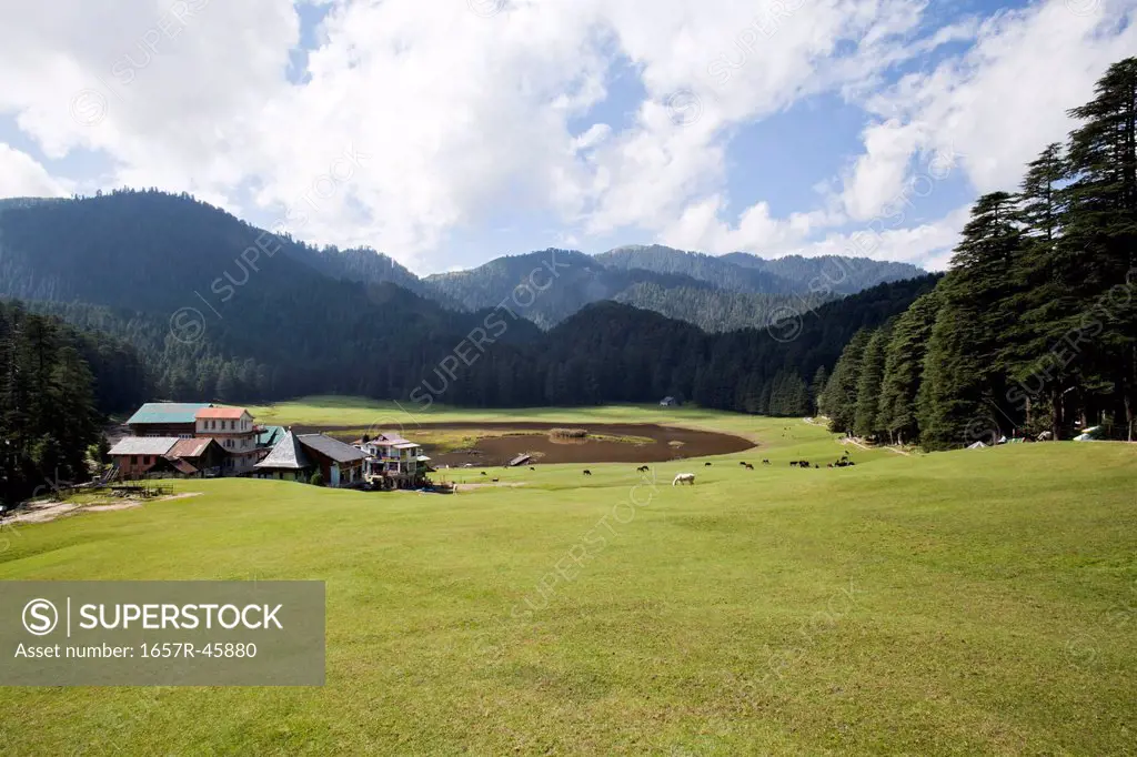 Visit Chamba: 2024 Travel Guide for Chamba, Himachal Pradesh | Expedia