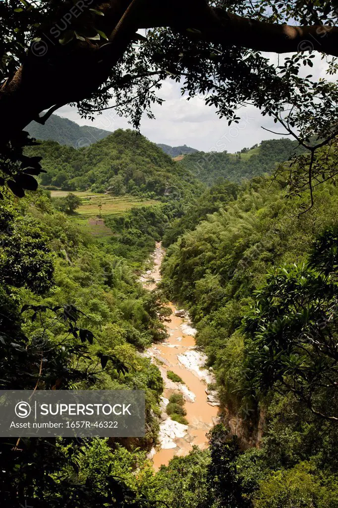 River passing through forest, Ananthagiri Hills, Araku Valley  Visakhapatnam, Andhra Pradesh, India - SuperStock