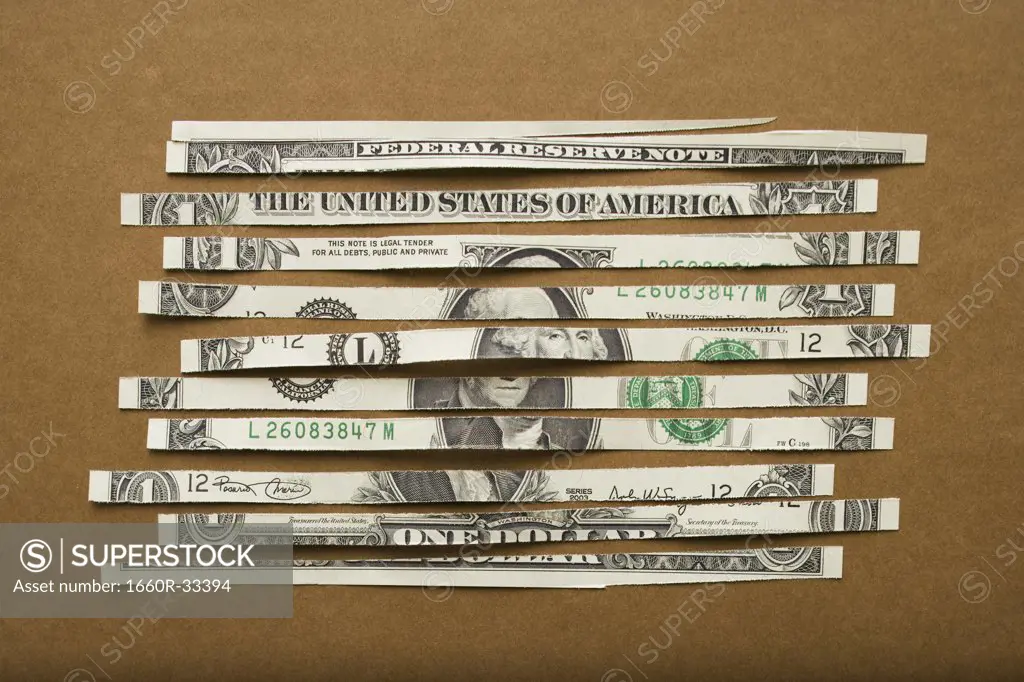 Detailed view of shredded US dollar bill