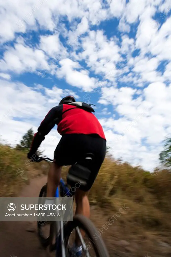 Mountain biker in wilderness