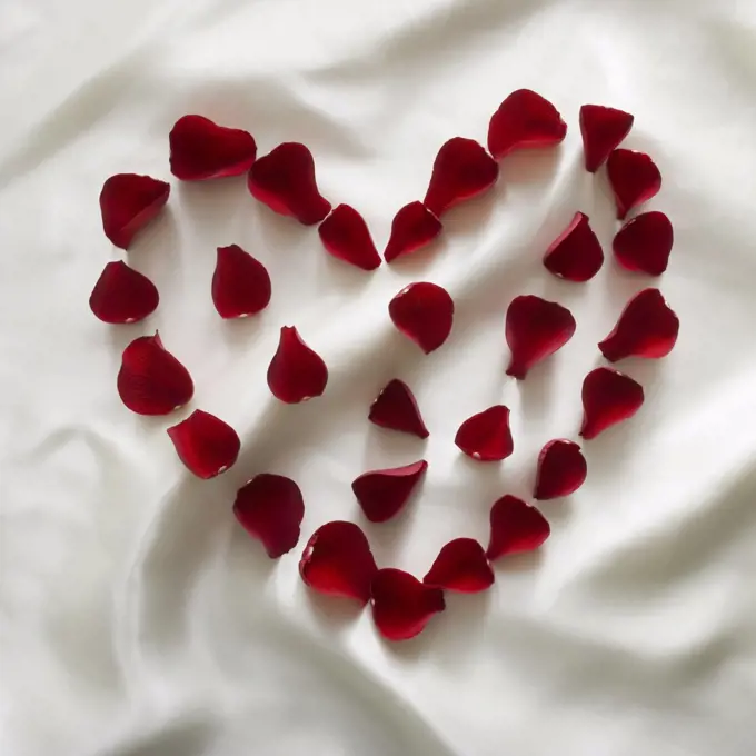 Heart made from red rose petals