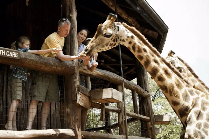 Family feeding giraffes in Kenya, Africa