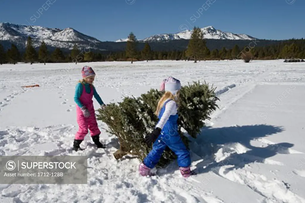 Two girls walking by a fallen tree