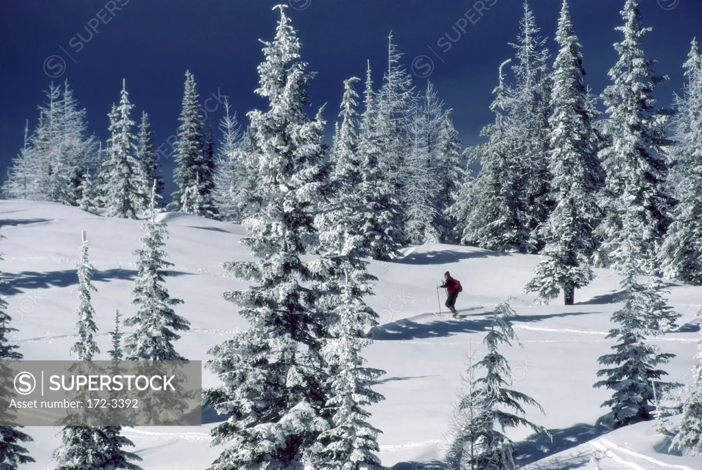 Mount Spokane State Park Washington USA