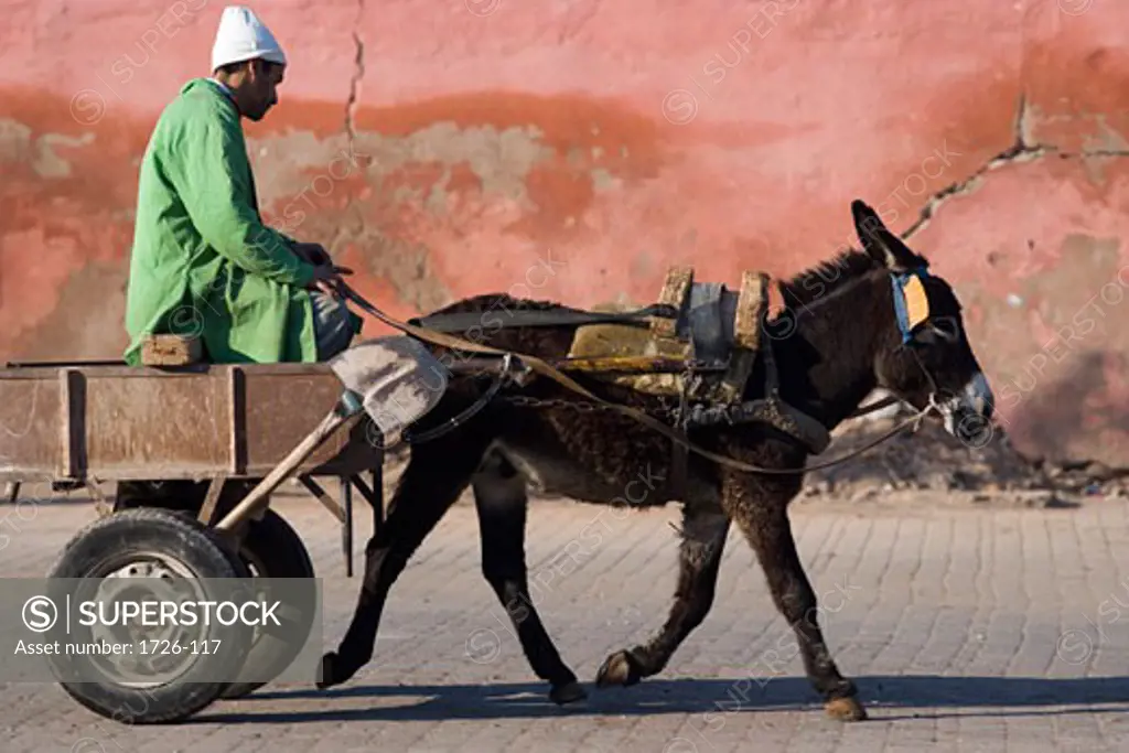 Man riding a cart pulled by a donkey, Marrakesh, Morocco