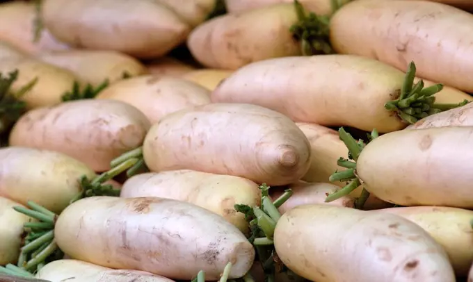 USA, New York State, New York City, Chinatown, White turnips at sidewalk produce market