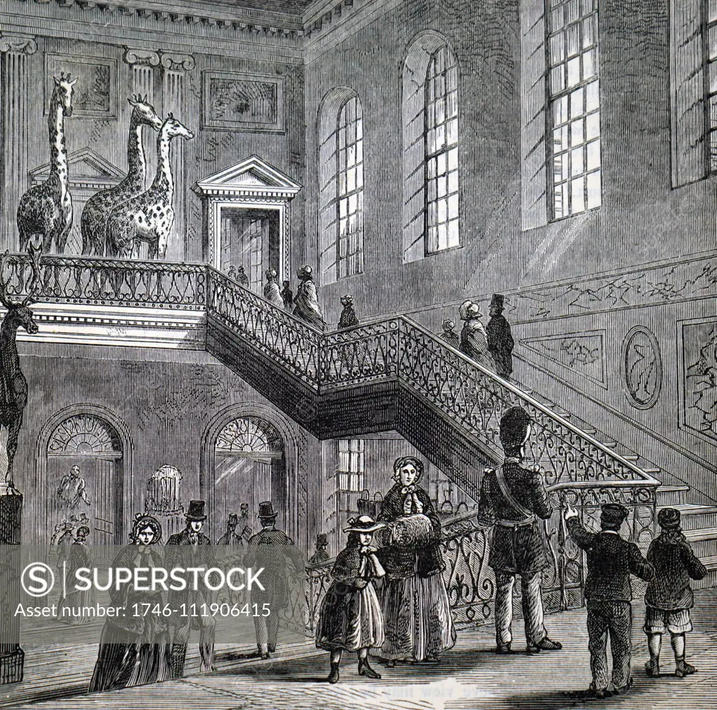 Illustration depicting the grand staircase at Montagu House, Bloomsbury, the first home of the British Museum. Dated 19th century