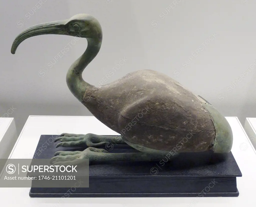 A statuette or coffin of an Ibis. The Ibis is one of the many animal manifestations of Thoth (moon god and god of wisdom and writing). From 3rd century.