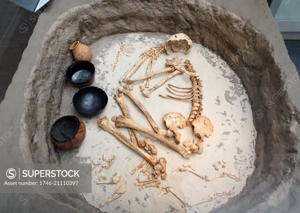 Kerma culture burial, 2050-1750 BC. reconstructed burial of a typical Kerma culture grave from a cemetery in northern Sudan. The man has been placed in a crouched position on his right side, his head to the east, facing north. Sacrificed sheep/goats are by his feet, with pottery vessels and joints of meat to one side