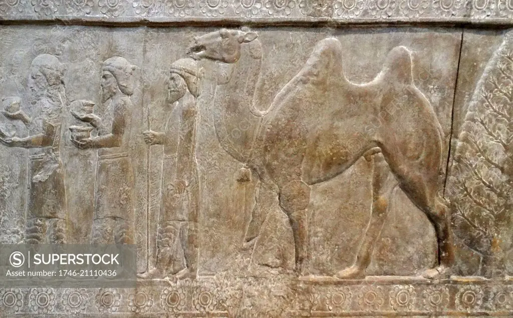 Frieze from a wall at Palace in Persepolis, a Royal Achaemenid city in the Persian Empire. The palace was built between 6th Century BC-5th Century BC