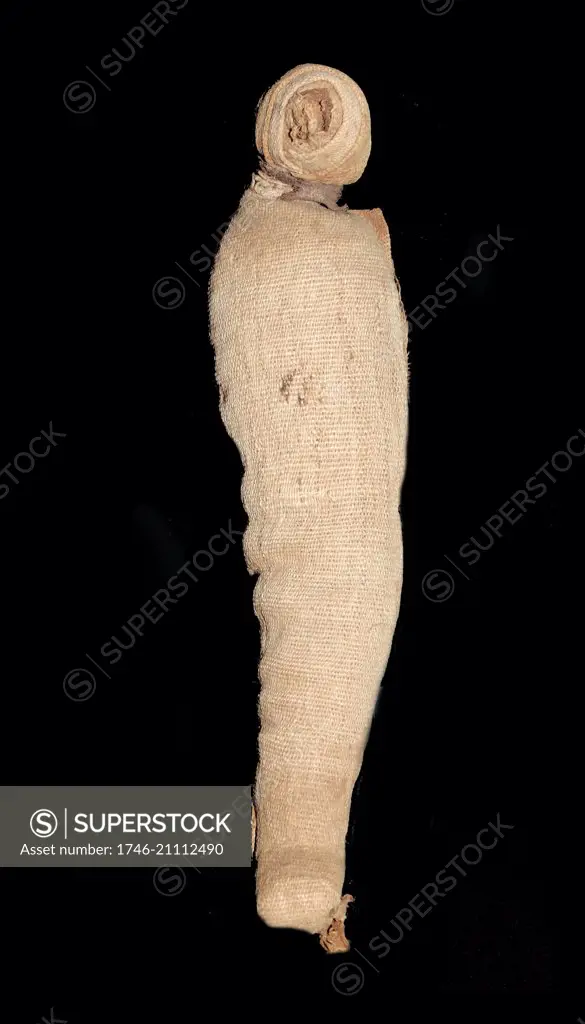 Animal mummy from Egypt. Dated 300 BC