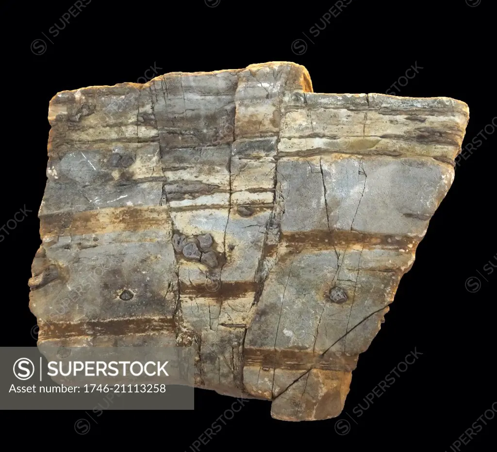 a fault rock is a planar fracture or discontinuity in a volume of rock, across which there has been significant displacement as a result of rock mass movement