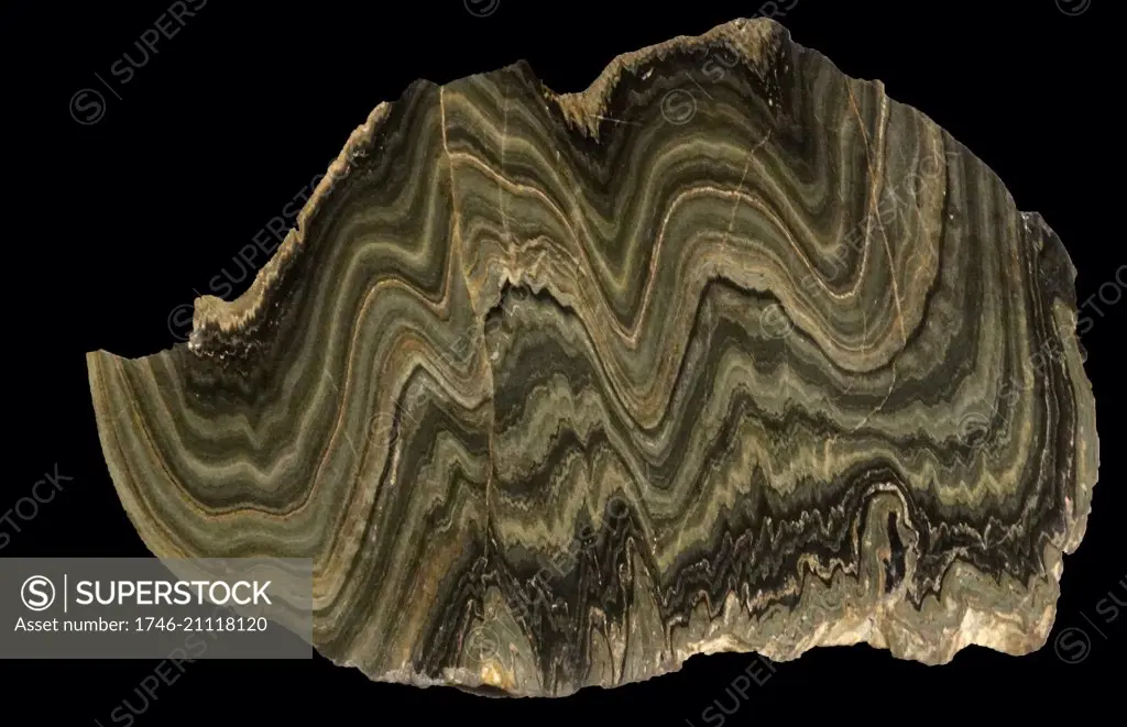 Folded schist formed as layers of rock are squeezed and squashed.