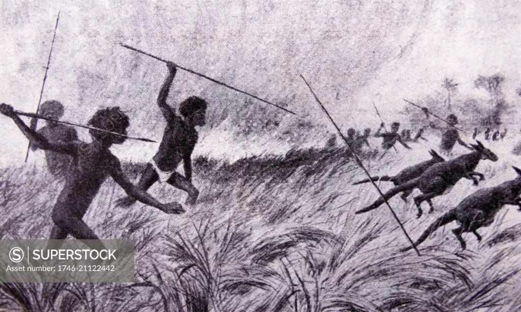 Aborigines hunting Wallabies in Queensland, Australia. Dated 1850