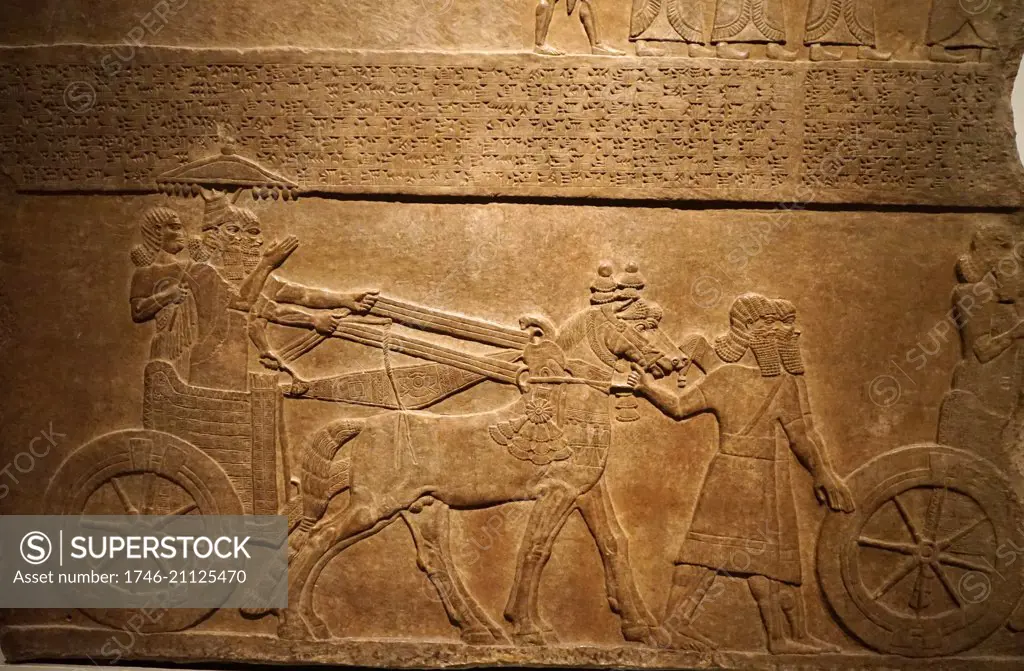 Assyrian wall plaques, from Nimrud, Central Palace. Dated 8th Century BC