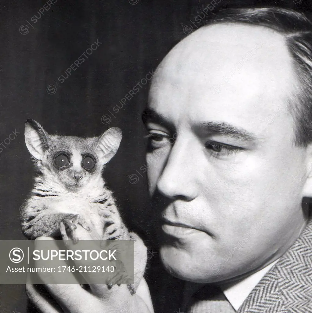 Bushbaby, or Galago, held by Desmond Morris, London Zoo, 1956.