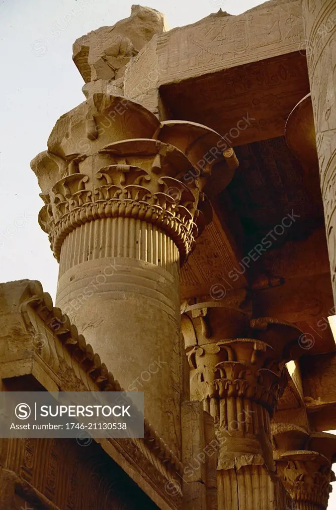 Elaborate capitals, with plant like motifs, on the pillars at the temple of Kom Ombo, Egypt.