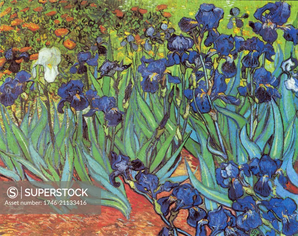 Iris' by Vincent Van Gogh (1853-1890) a post-impressionist painter of Dutch origin. Dated 1889.