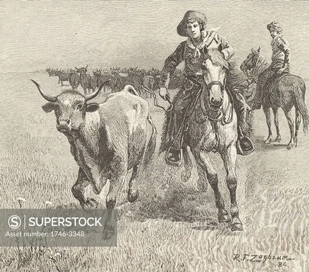 Cowboy going after a steer that has left the herd during a cattle drive in Montana,  engraving,  1885