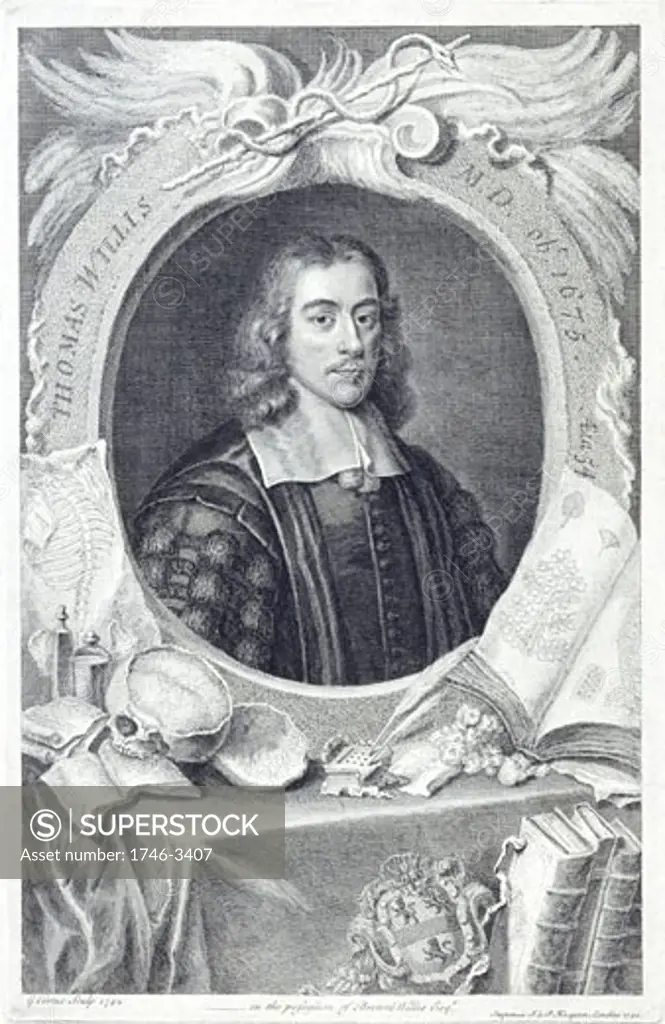 Thomas Willis,  English physician by George Vertue,  engraving,  published 1742,  17th century,  18th century