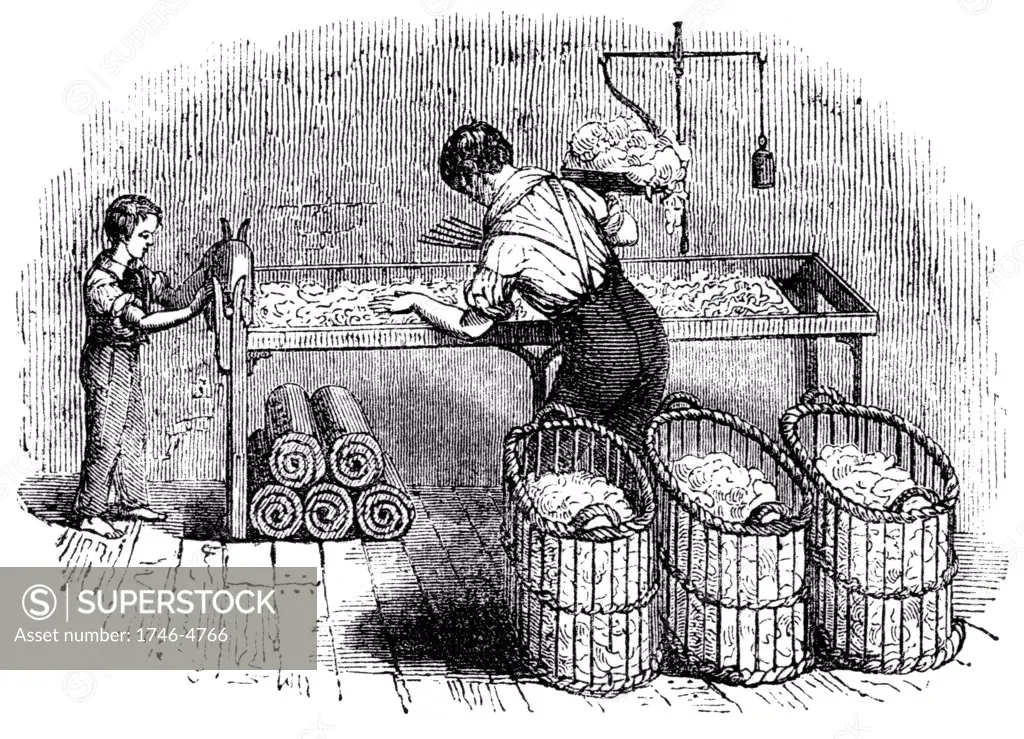 Forming cotton into 'laps' so that it could be put into the carding machine in a uniform amounts. In foreground baskets of cotton that had been through the gin to remove seeds and separate fibres. On right at back of bench, balance for weighing cotton. Under bench are 'laps' ready for carding. Adult 'hand' with boy assistant. From  Charles Tomlinson The Useful Arts and Manufactures of Great Britain London c1845.