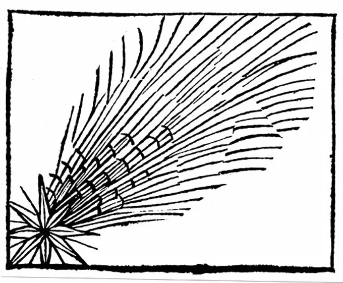 Comet of 684 (Halley), From Liber Chronicarum Mundi, (Nuremberg Chronicle) by Hartmann Schedel, 1493, Woodcut