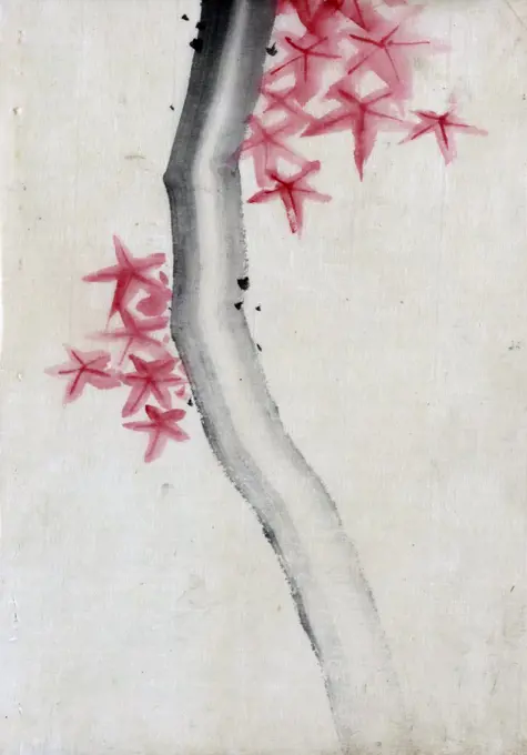 Unidentified, possibly a tree branch with red star-shaped leaves or blossoms. Hokusai Katsushika (1760-1849). 1 drawing on thin handmade paper: ink wash, colour. Japanese
