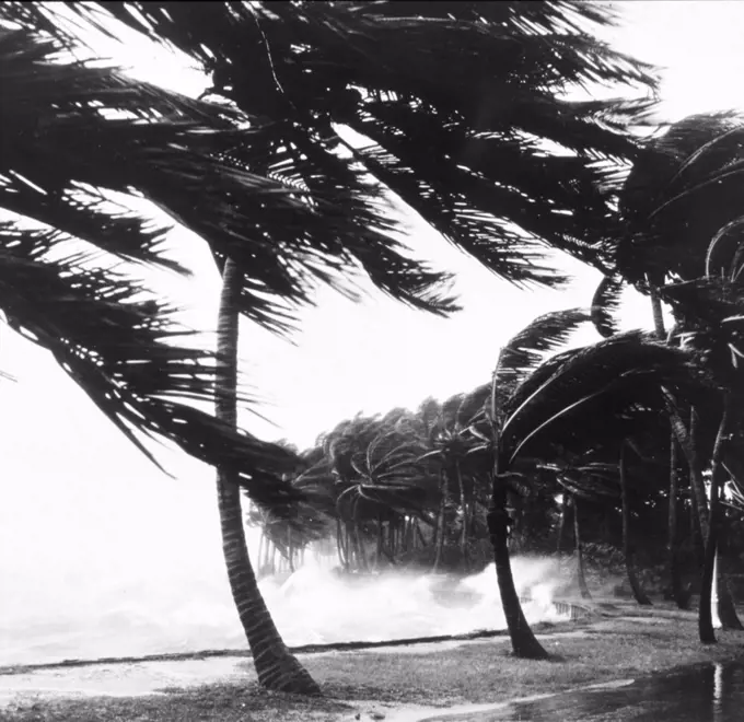 Photograph of a the destruction of the seawall after a hurricane. Florida. Dated 1947