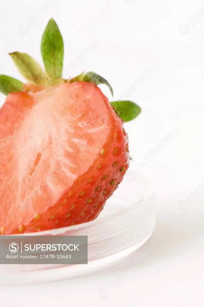 Cross section of strawberry in small cosmetic container, close-up