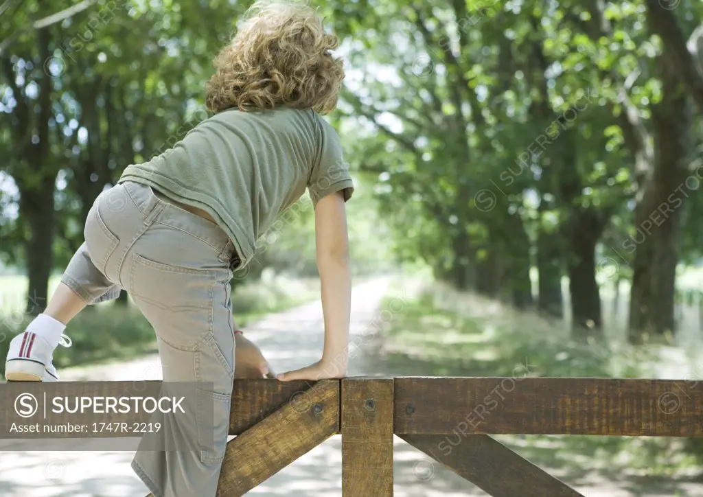 Boy climbing fence, rear view