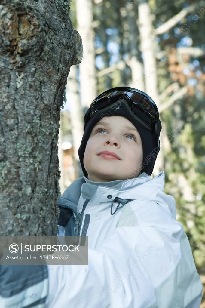 Boy hugging tree