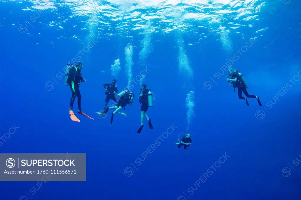 Divers pictured hanging at 15 feet for a decompression stop before surfacing off the Backwall at Molokini Marine Preserve, off Maui; Hawaii, United St...