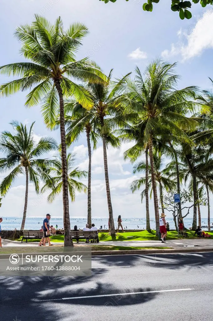 Tourists walking along the street with palm trees and a view of the ocean in the background; Honolulu, Oahu, Hawaii, United States of America