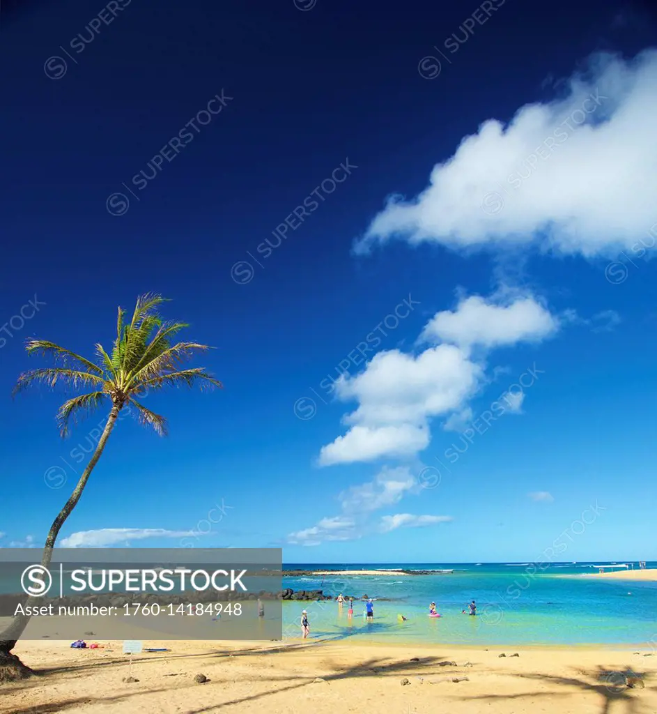 Tourists playing in the shallow water along the coast of the Island of Hawaii; Haene, Island of Hawaii, Hawaii, United States of America