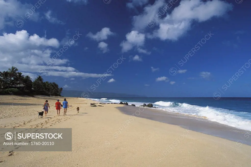 Hawaii, Oahu, North Shore, Ehukai beach, women walking dogs, view from behind