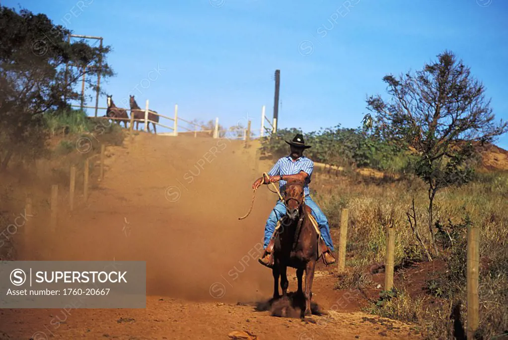 Hawaii, Molokai, Paniolo riding horse on dusty ranch road