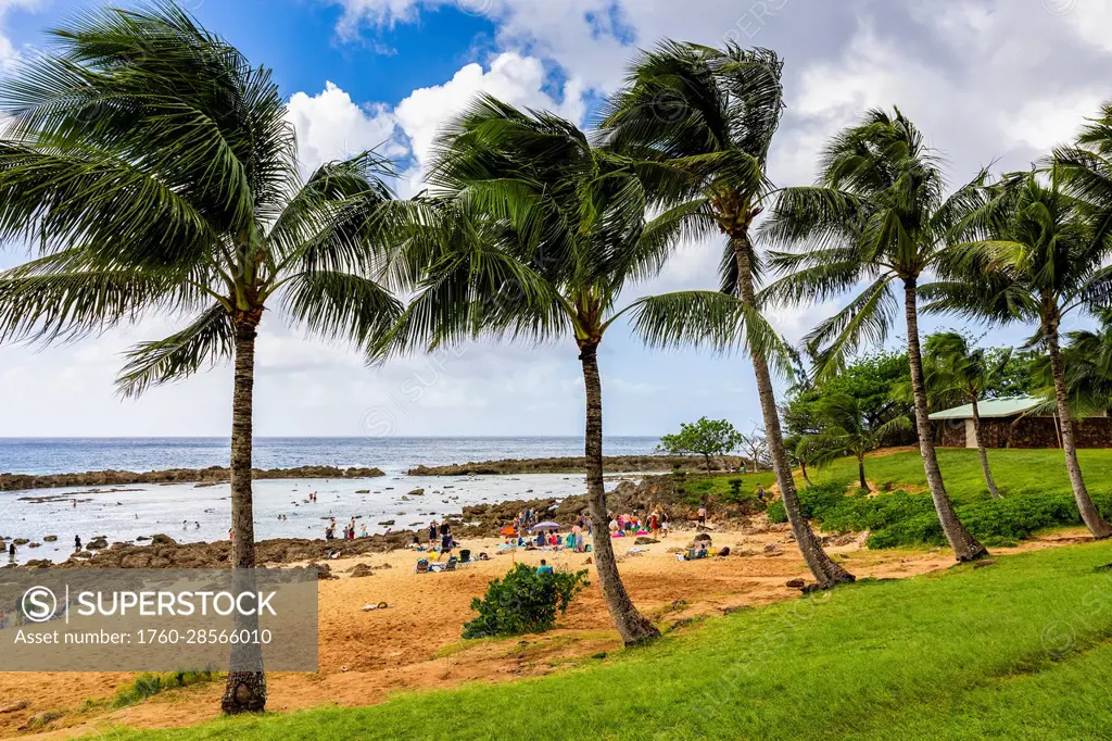 People snorkelling at Shark's Cove on the North Shore; Oahu, Hawaii, United States of America