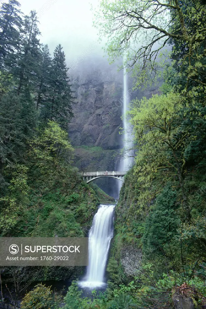 Oregon, Multnomah Falls Columbia River, Mt.Hood National Forest