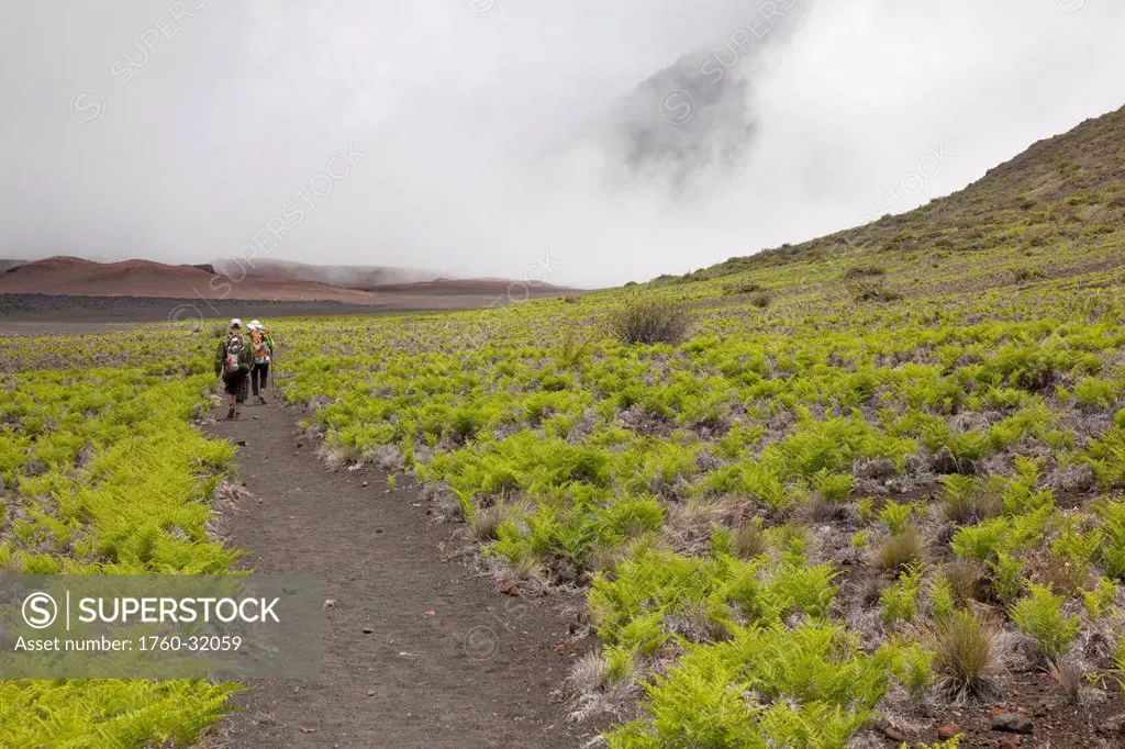 Hawaii, Maui, Haleakala Crater, A Couple Of Hikers Trekking Through The Crater.