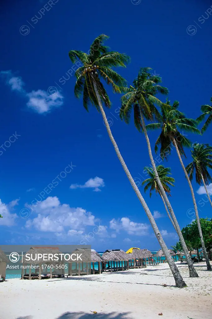 Western Samoa, Aleipata, Lalomanu Beach Fale (huts) B1690