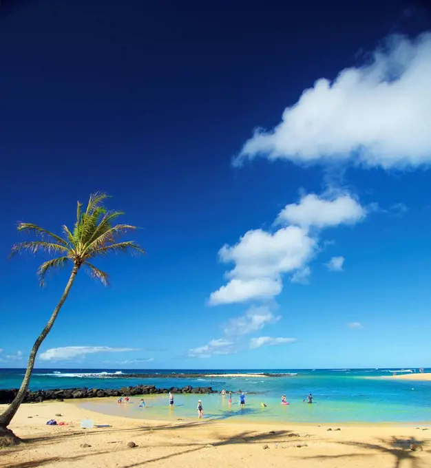 Tourists playing in the shallow water along the coast of the Island of Hawaii; Haene, Island of Hawaii, Hawaii, United States of America