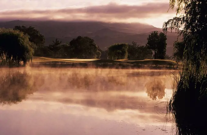 California, Sonoma, Sonoma Golf Course, Reflections on misty pond at sunrise