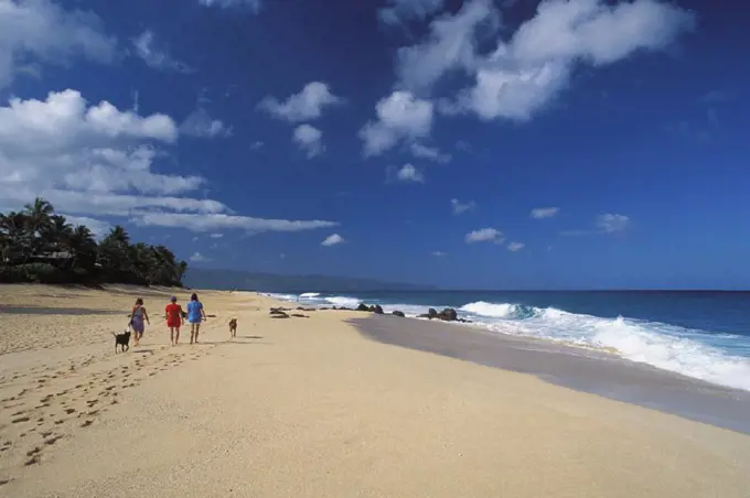 Hawaii, Oahu, North Shore, Ehukai beach, women walking dogs, view from behind