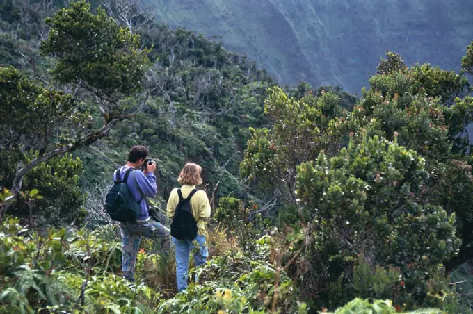 Hawaii, Kauai, Kokee SP, German couple on Pihea Trail overlooking scenery, camera