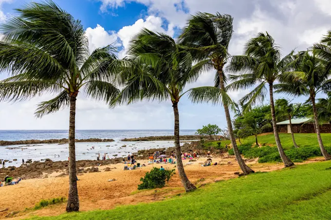 People snorkelling at Shark's Cove on the North Shore; Oahu, Hawaii, United States of America