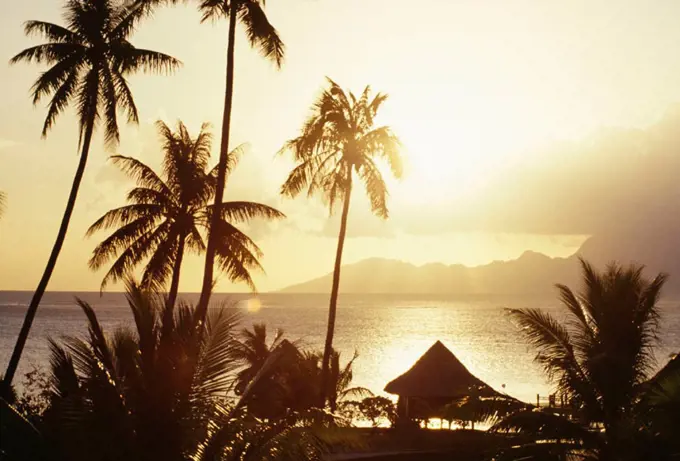 French Polynesia, Tahiti, Papeete, Sunset at beachcomber Hotel, Moorea in background, golden skies