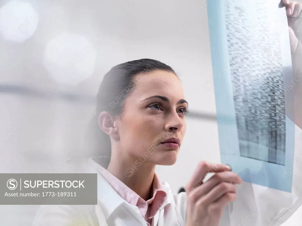 Scientist examining DNA sequencing gel