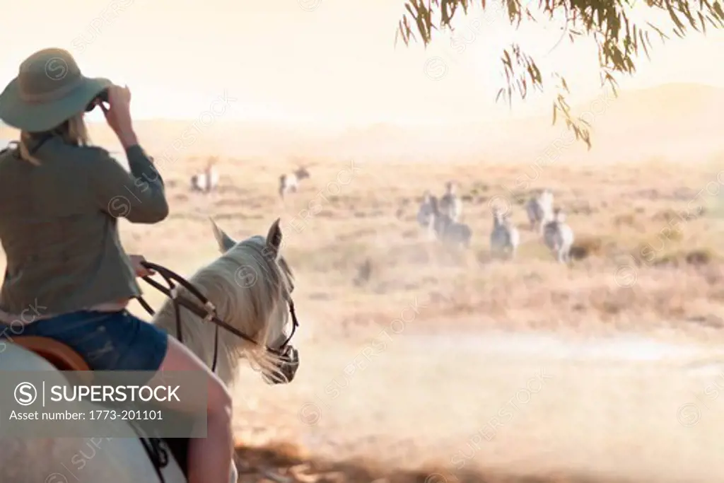 Woman on horse watching wildlife, Stellenbosch, South Africa