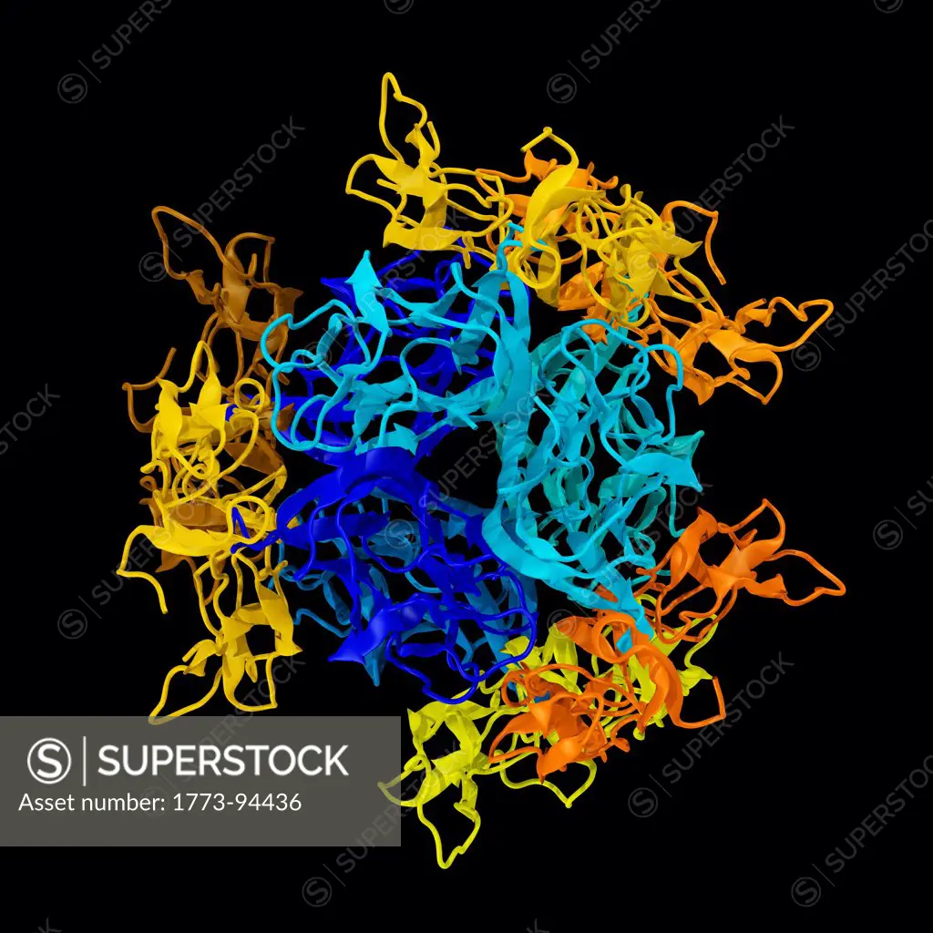 3D model of tumor necrosis factor TNF complexed with tumor necrosis factor receptor 2 TNFR_2