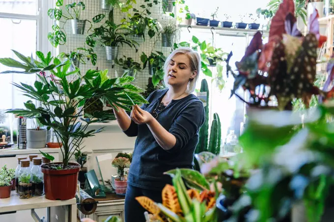 Proud owner tending to plants in nursery